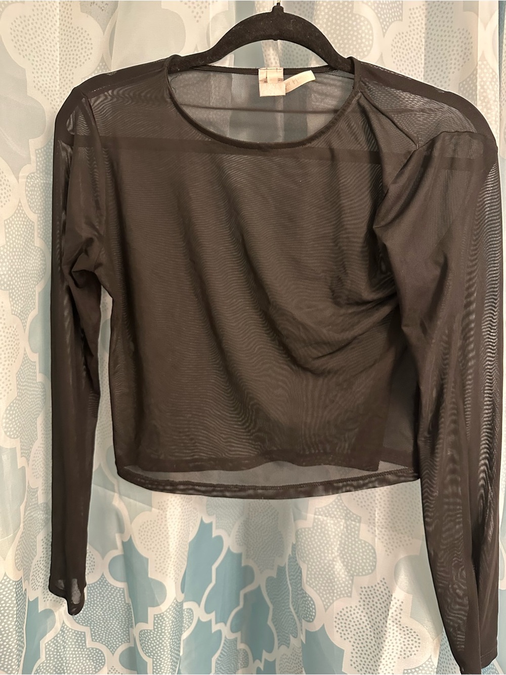 Sheer Long-Sleeve Mesh  Crop Top - Black - Large